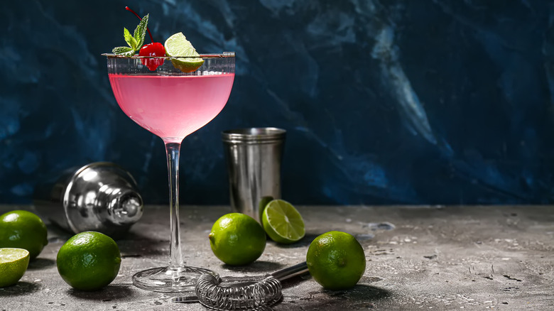 Cocktails with fruit and herb garnishes