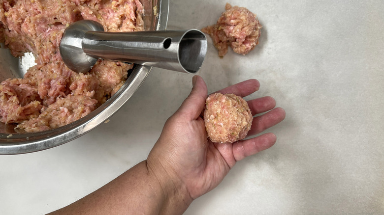 hand holding meatball