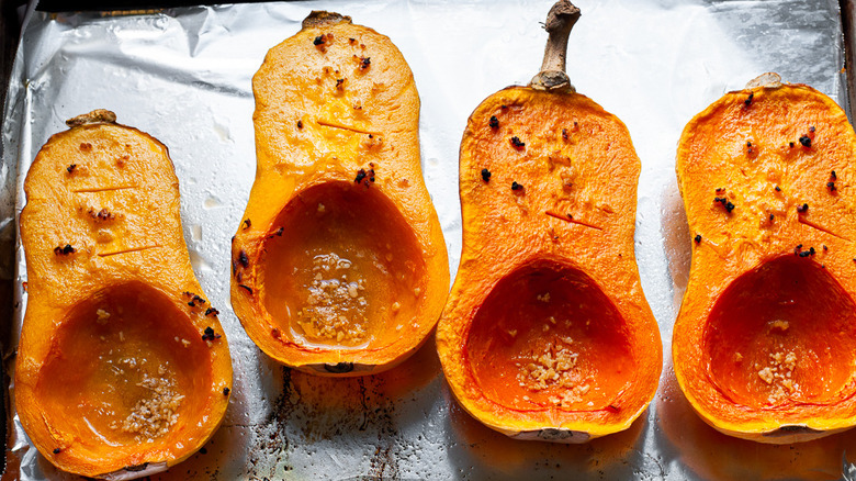 Savory Mashed Butternut Squash Recipe the-best-mashed-butternut-squash-recipe-in-a-white-bowl-with-green-garnish