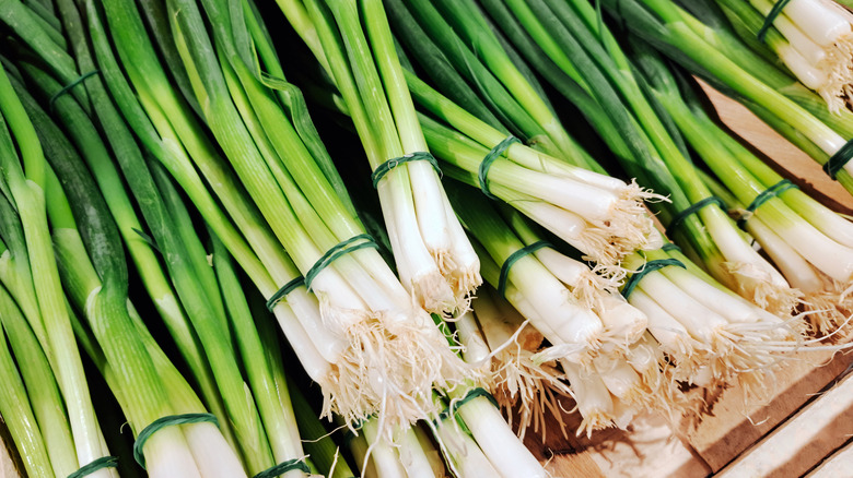 Bunches of scallions laying on wooden surface