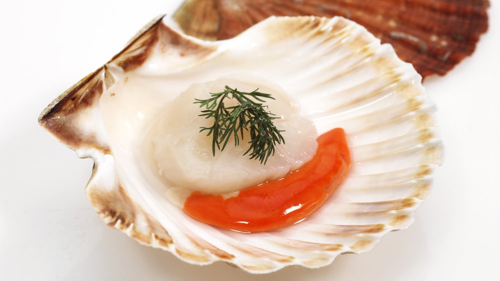 Scallops: What Are They And Why Are They So Expensive?