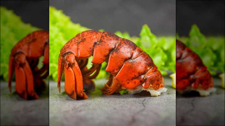 Northwest Fish Warm/Cold Water Lobster Tails