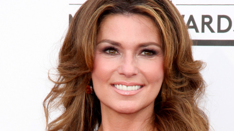 Close-up of Shania Twain 