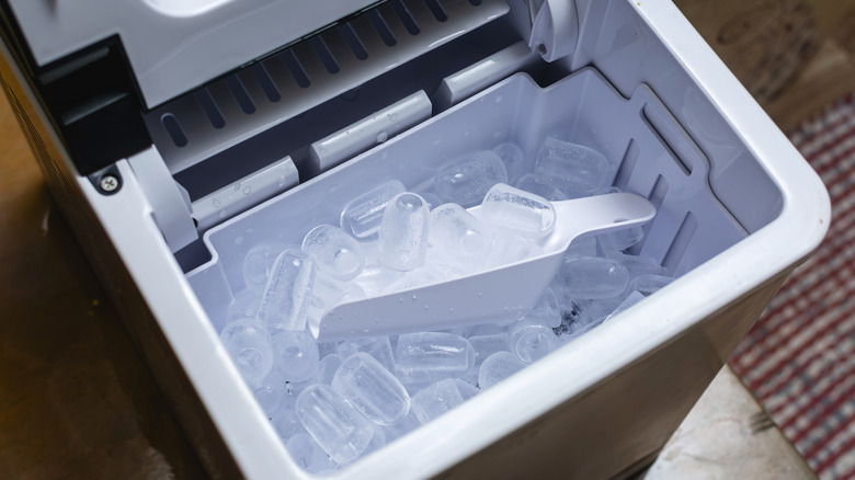 Small, open ice maker with ice and scoop inside