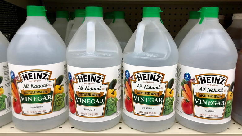 Distilled white vinegar on a grocery store shelf