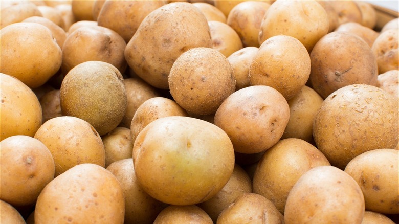 Several potatoes in a pile