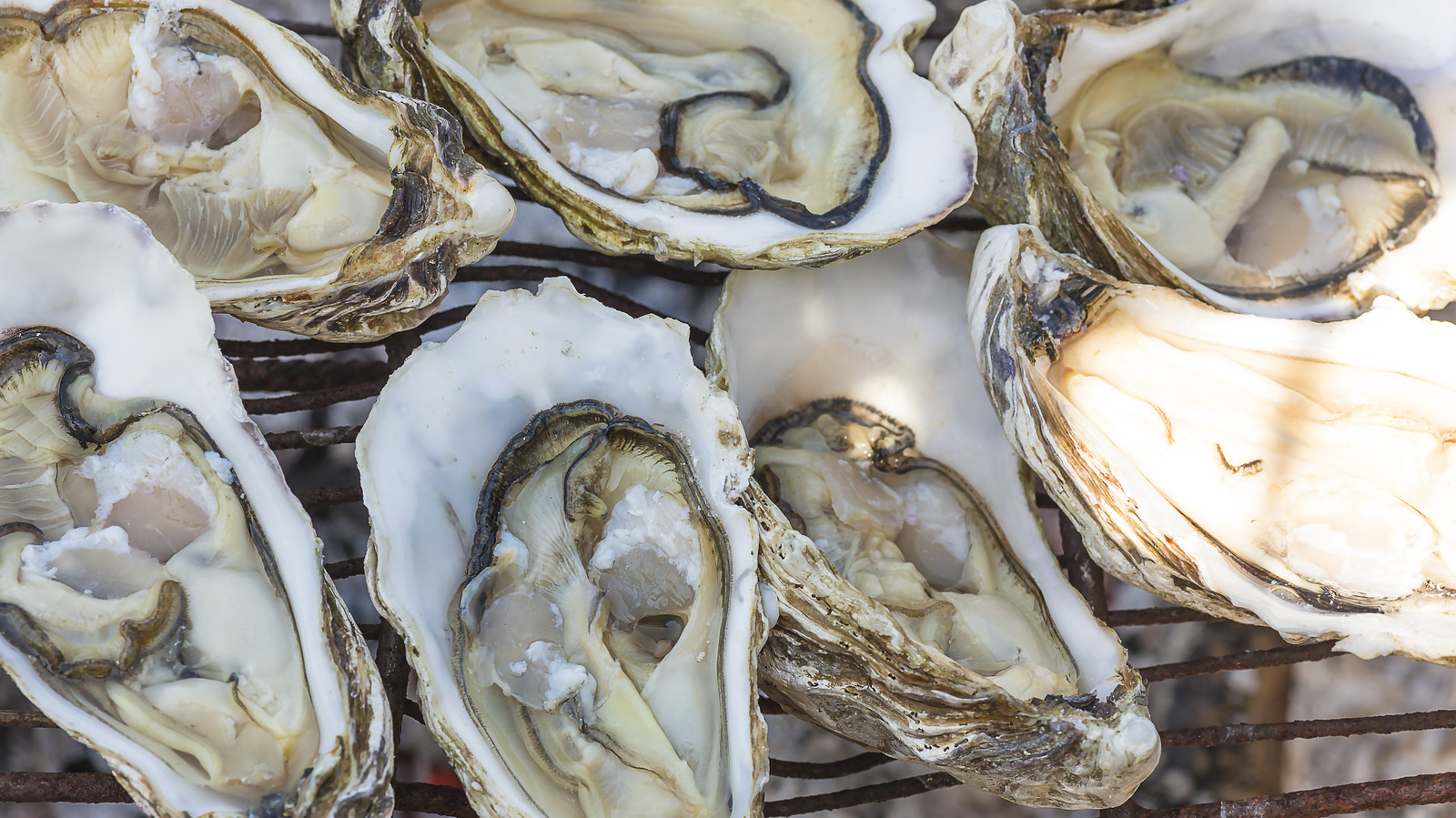 Signs A Freshly Shucked Oyster Has Gone Bad‚ According To An Expert