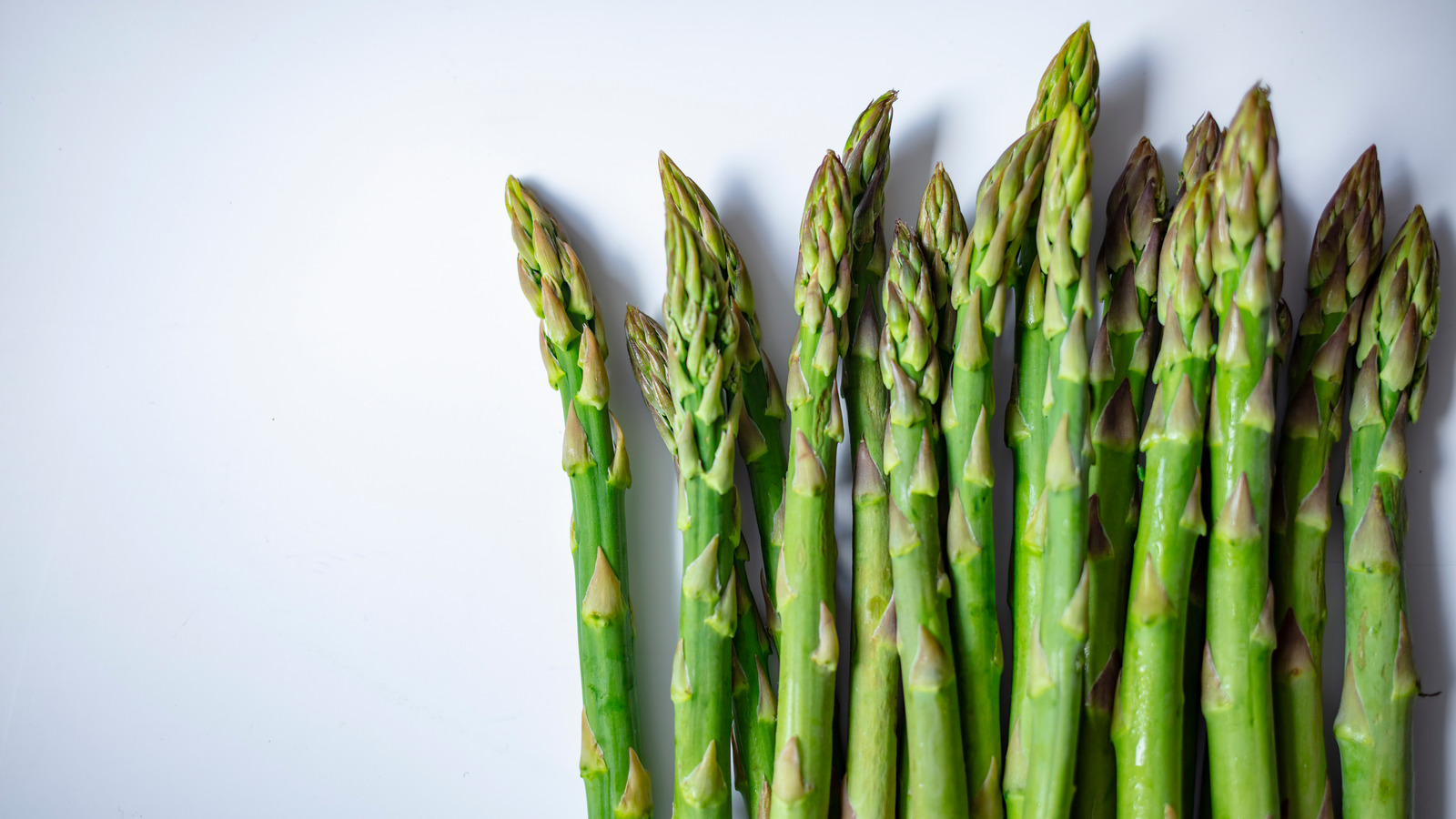 Signs that your asparagus has gone bad