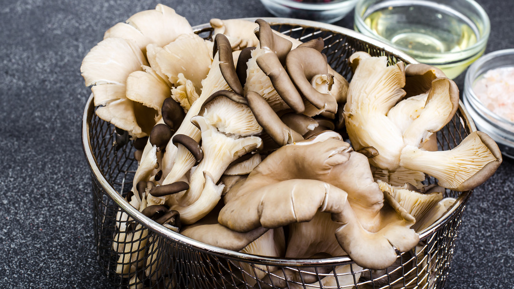 Oyster mushrooms in a basket