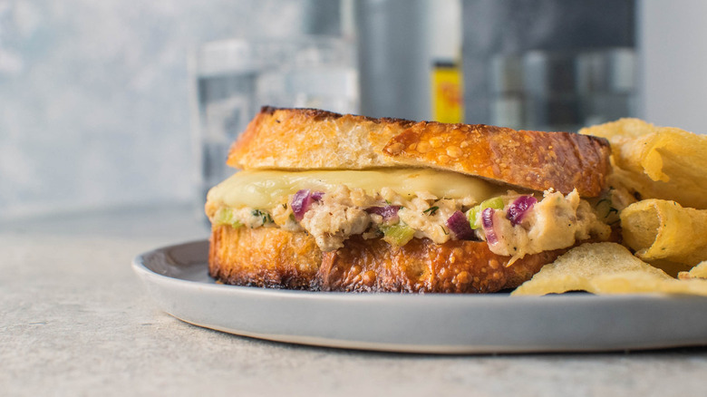 tuna melt sandwich on plate