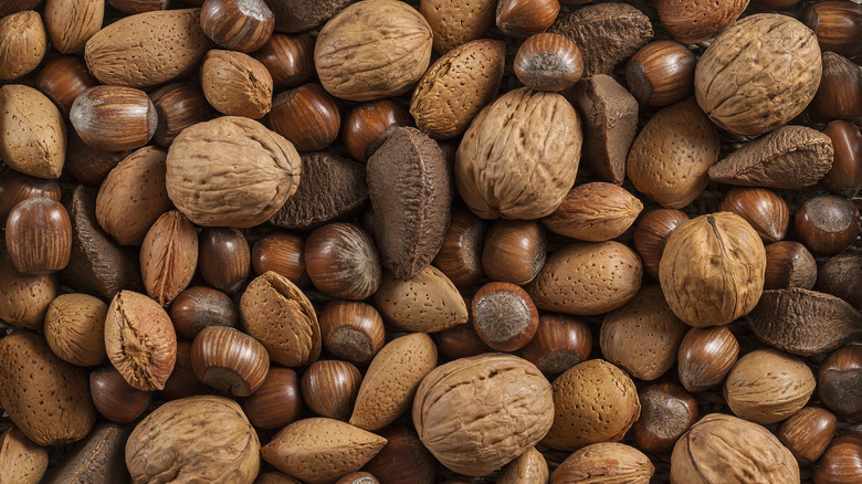assorted tree nuts