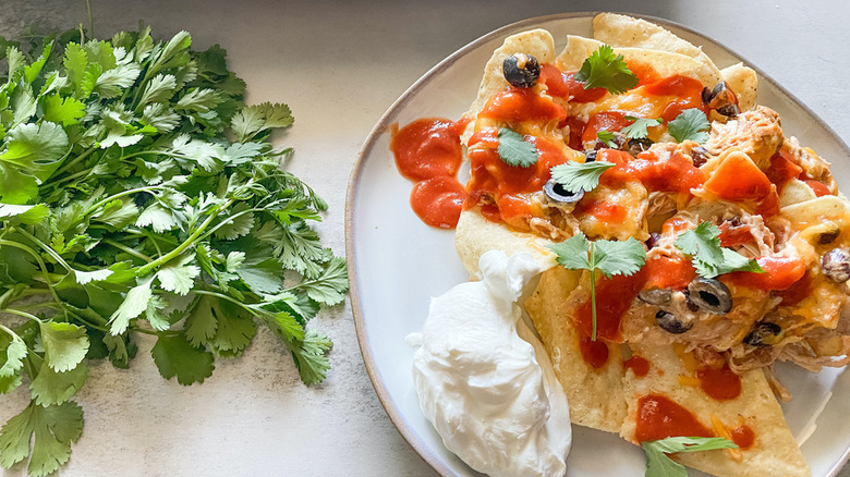 finished nachos on plate with bunch of cilantro and sour cream