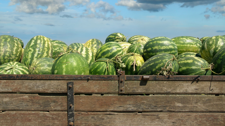 Watermelons in a wooden crate