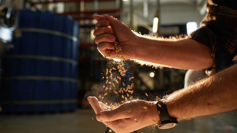 Dropping grains from hand to hand.