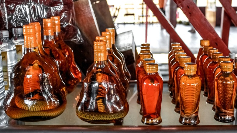 Assorted bottles of brown snake whiskey, with some also containing scorpions.