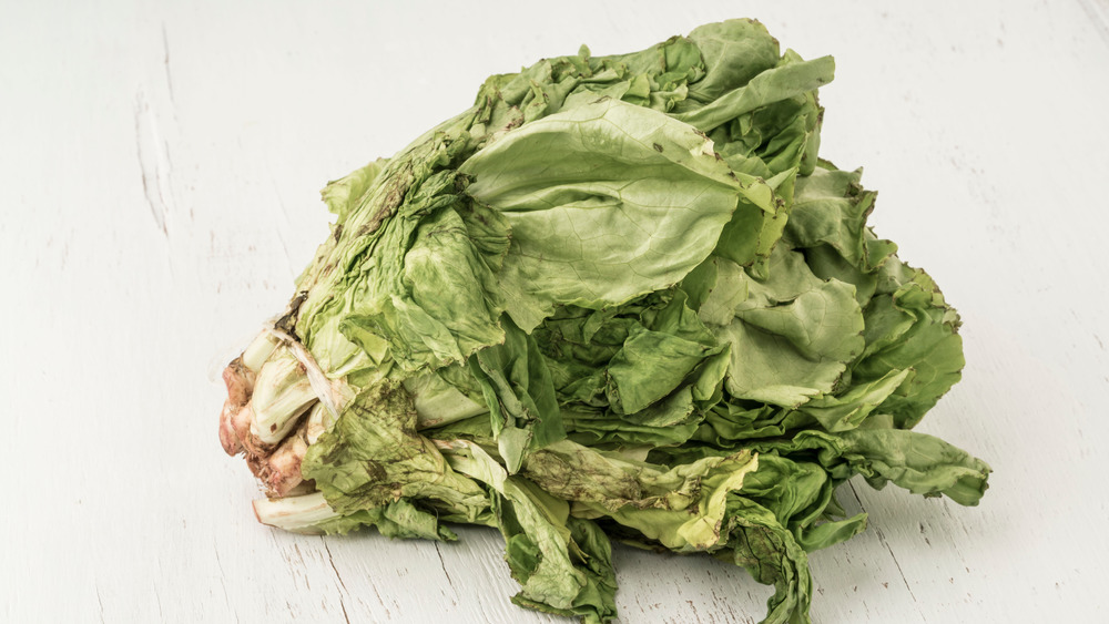 old and brown lettuce