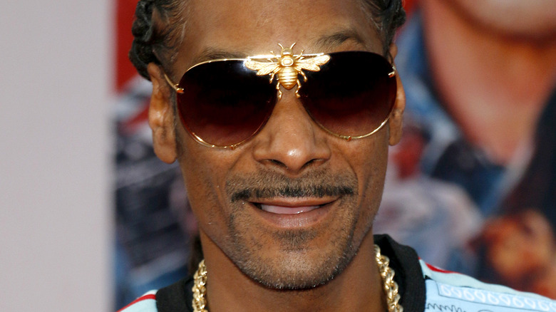 Snoop Dogg wearing insect sunglasses