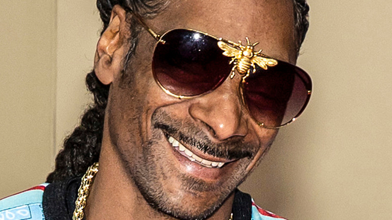 Snoop Dogg smiles with bee sunglasses and braids