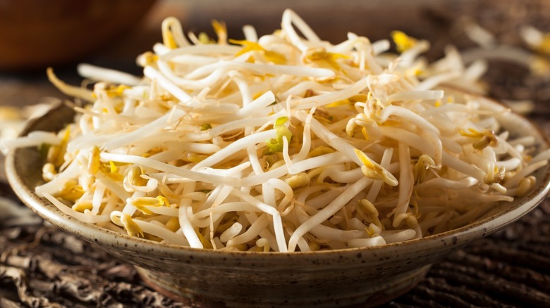 White bean sprouts