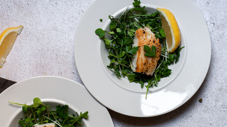 sea bass with microgreens and arugula on plate