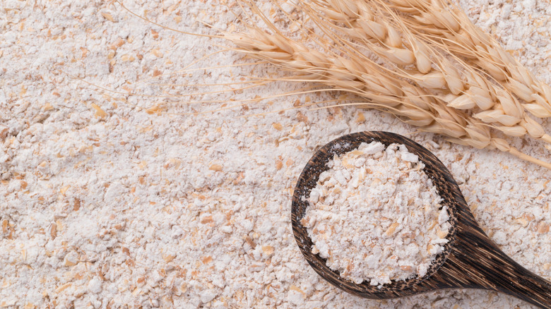 Whole wheat flour on a flat surface, with a wooden spoon and wheat grains on the side