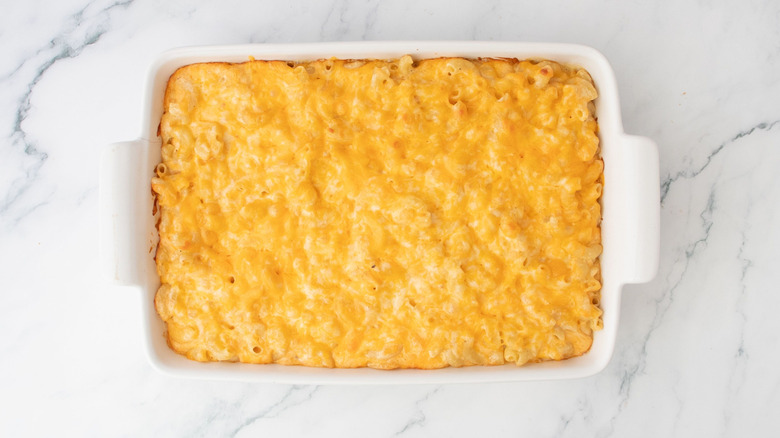 Baked mac and cheese with melted cheese on top