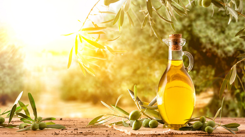 A jar of olive oil on a table in a grove