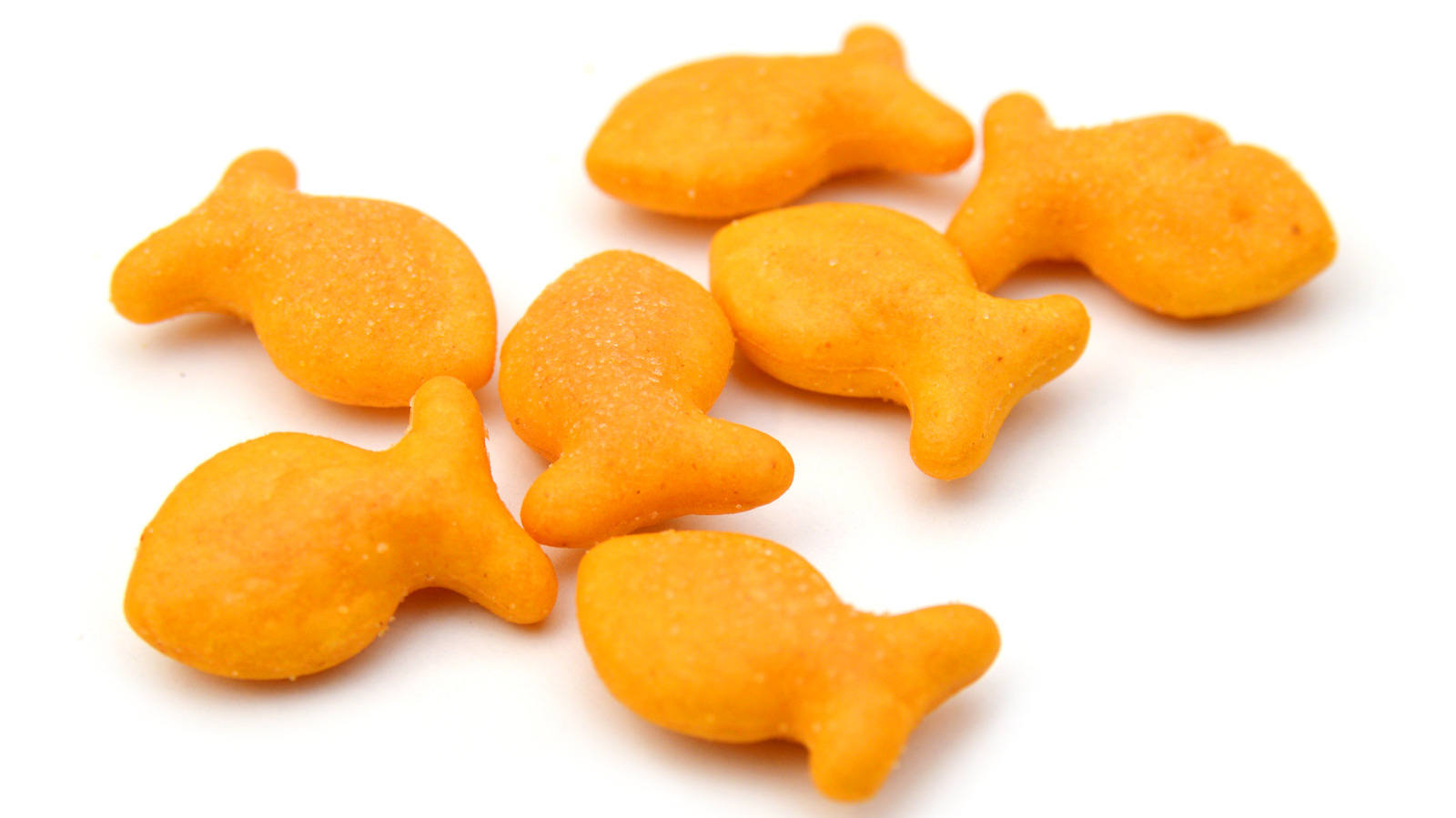Goldfish Crackers Characters Names