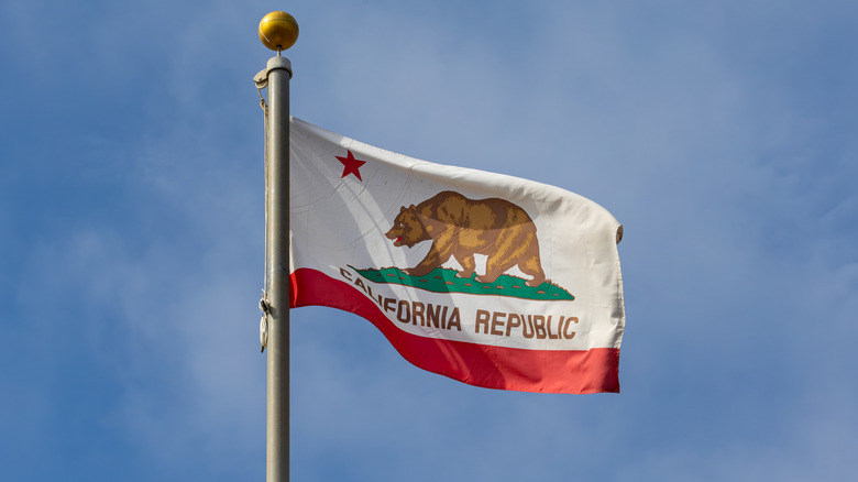 California state flag flying in the breeze.