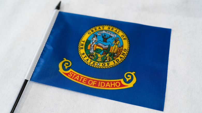 Idaho flag on white background
