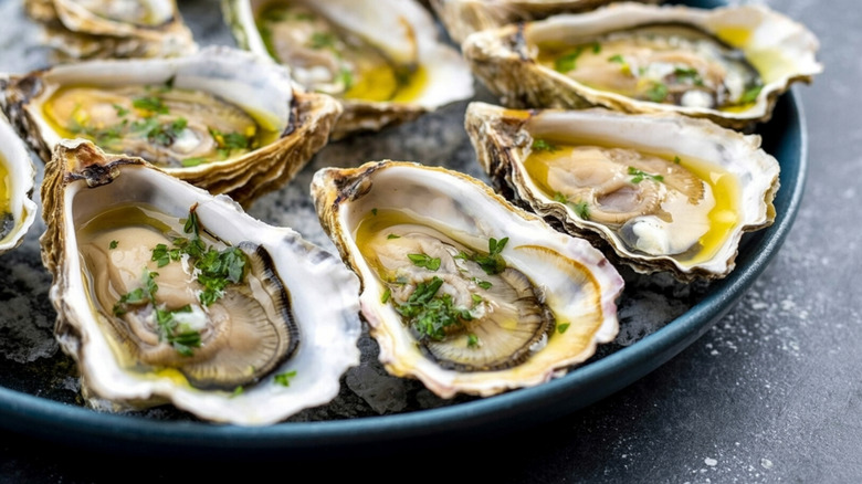 A plate of oysters