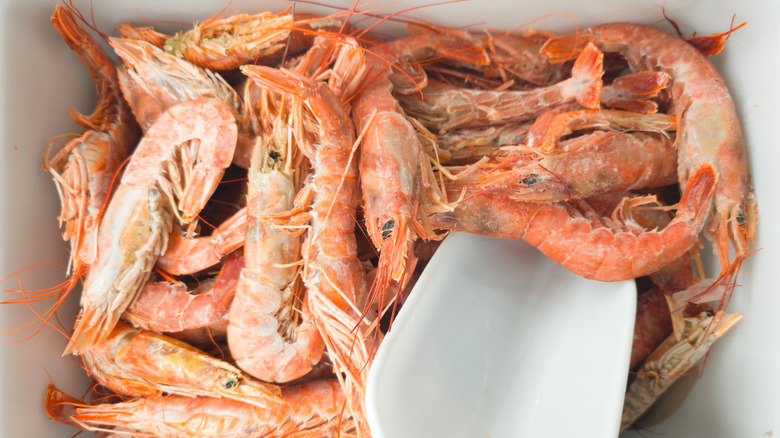 frozen shrimp with scoop