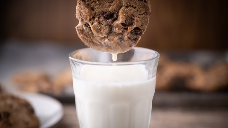 Chocolate chip cookie dipped into milk