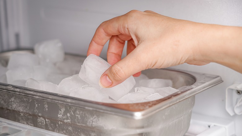 Person taking ice from freezer