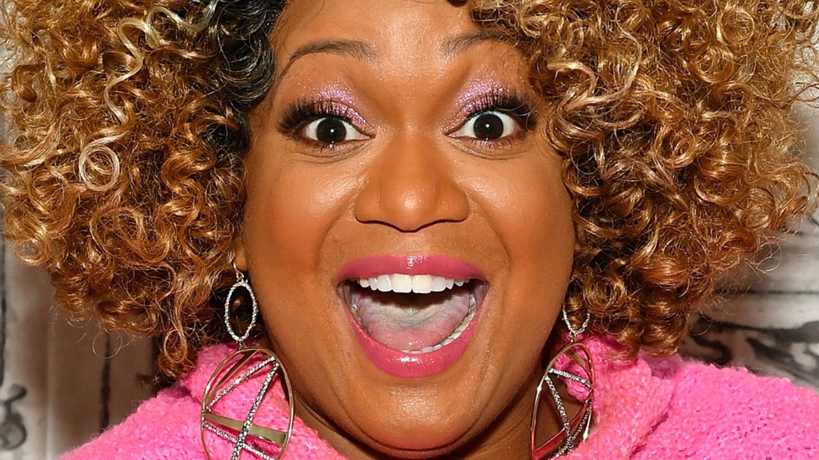 Sunny Anderson Has An Informative Message For The Twitter Trolls