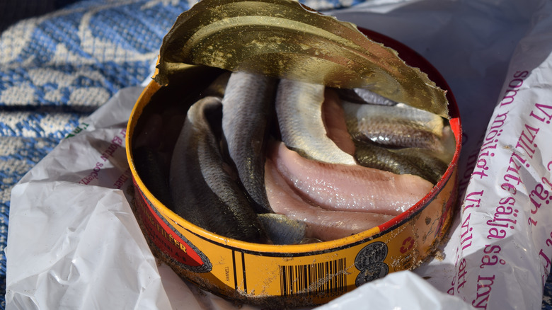 can of surströmming