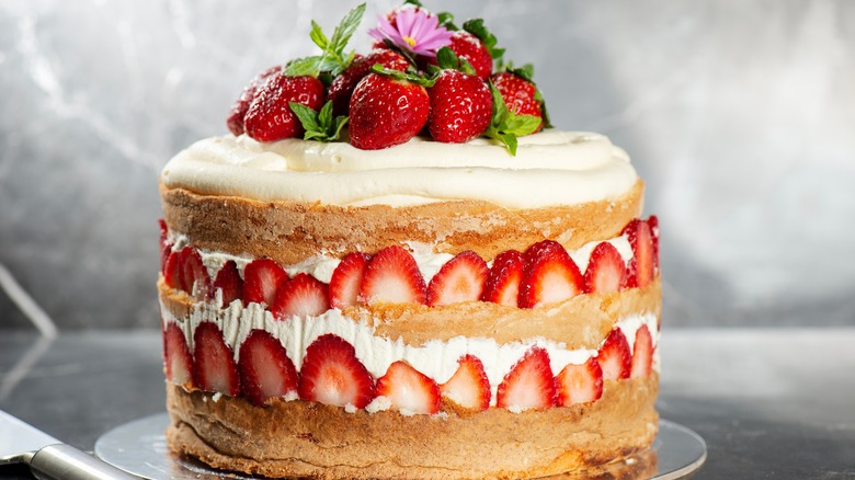 Chantilly cream cake with strawberries