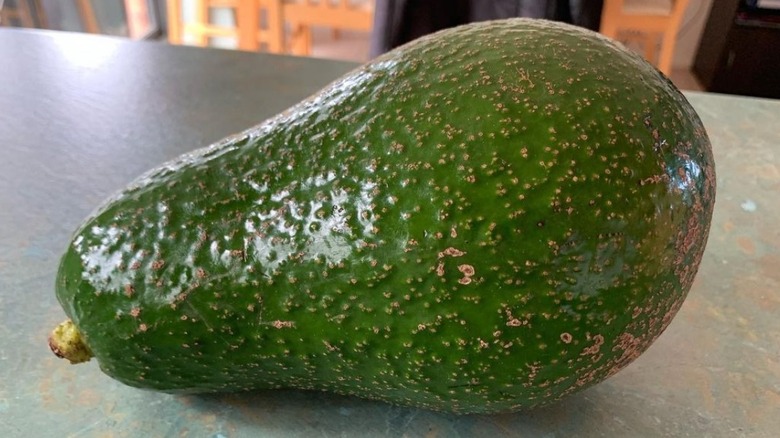 A giant avocado