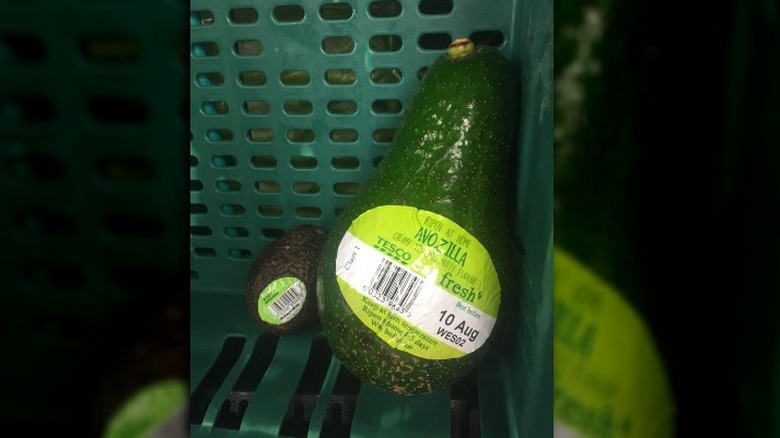 A giant avocado from Tesco
