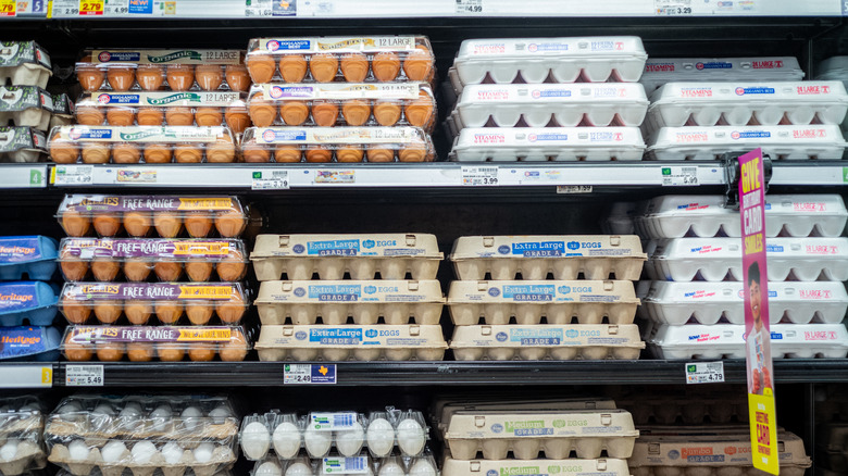 Eggs in the egg cooler at the supermarket