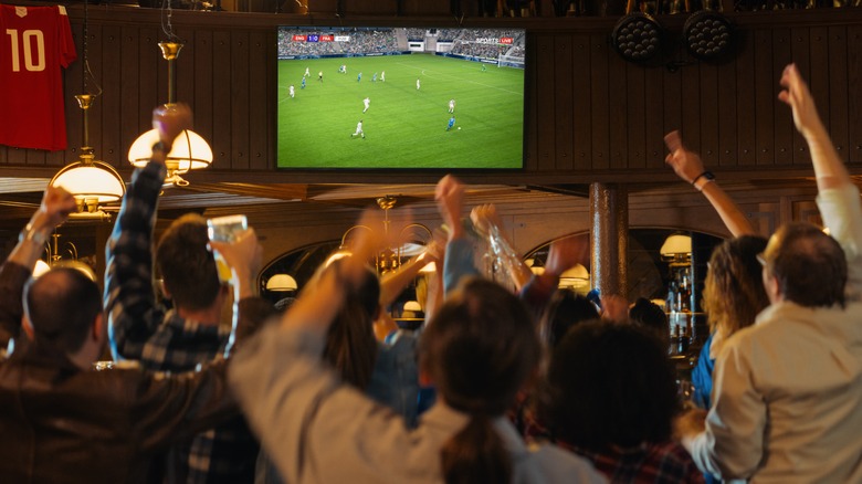 Fans at a sports bar