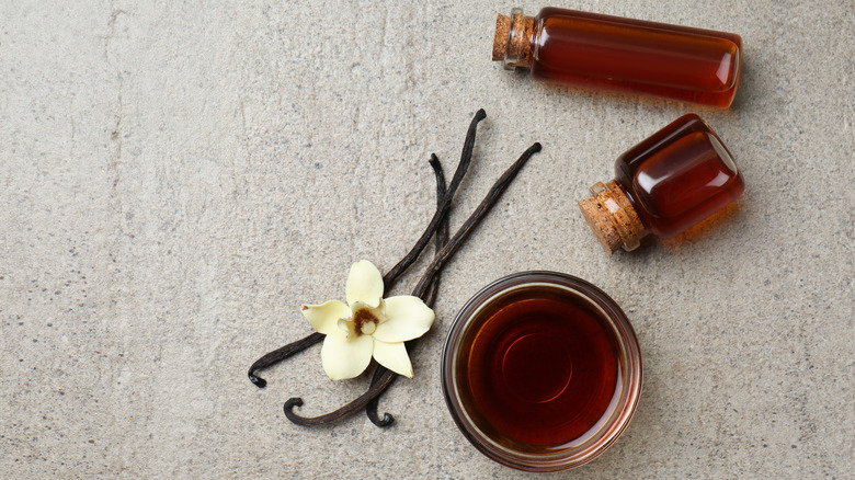 bottles of vanilla extract next to vanilla bean pod