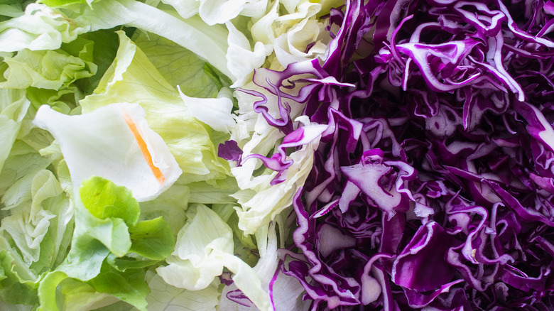Green lettuce and shredded red cabbage side by side