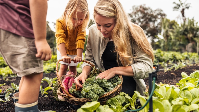 adult helping kids gather leafy greens