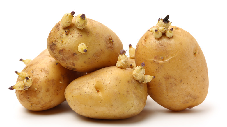 potatoes with sprouted eyes