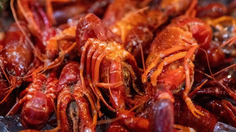 A pile of crawdads on ice