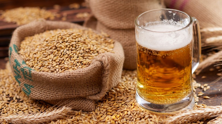 pint of beer with barley