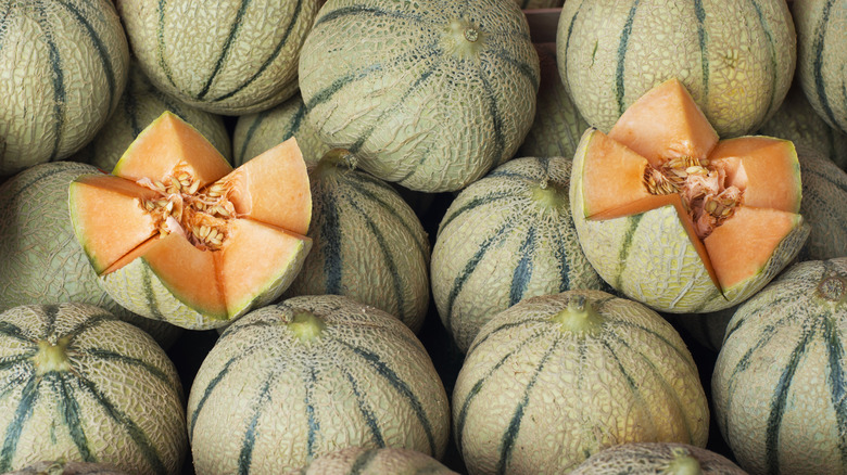 Pile of cantaloupes