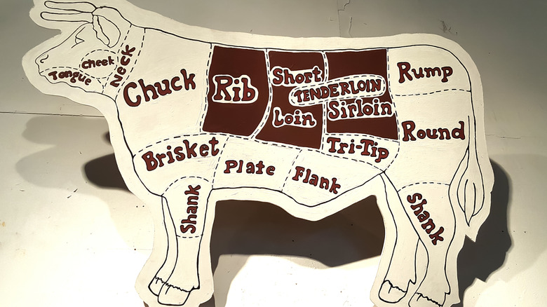 Diagram of beef cuts drawn on cow