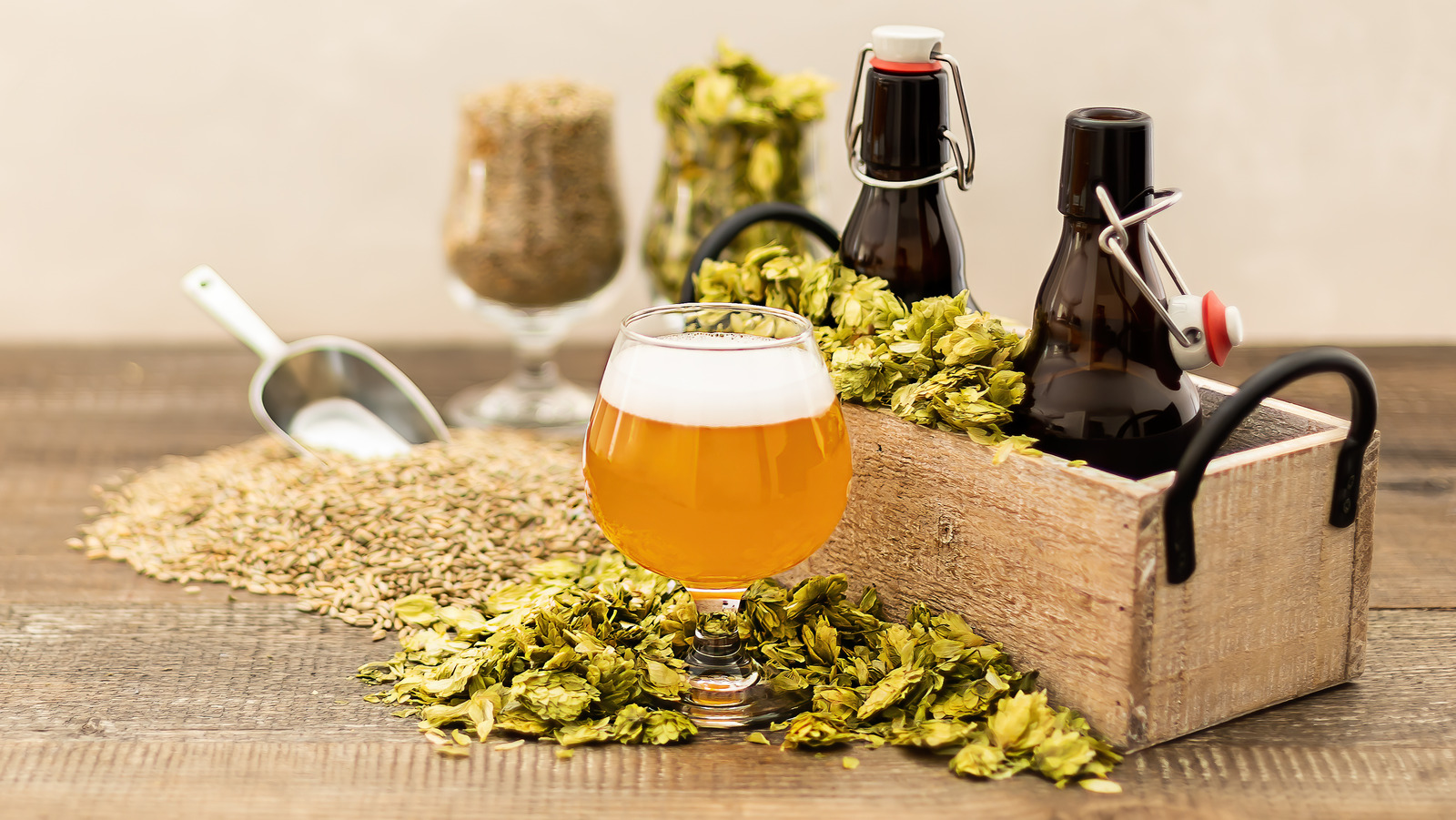 The 4 Non-Negotiables For Home-Brewed Beer‚ According To An Expert